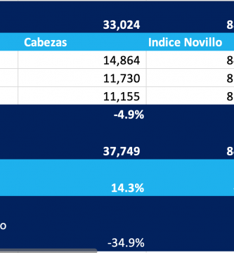 indice novillo arrendamiento 24 abril 2020