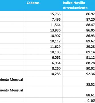 indice novillo arrendamiento mensual mayo 2020