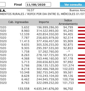 indice novillo arrendamiento principio agosto 2020