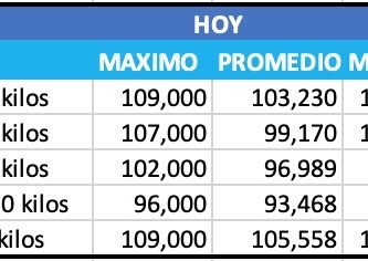 precio novillo por categoria