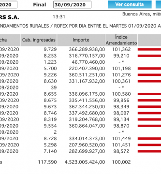 precio novillo arrendamiento indice