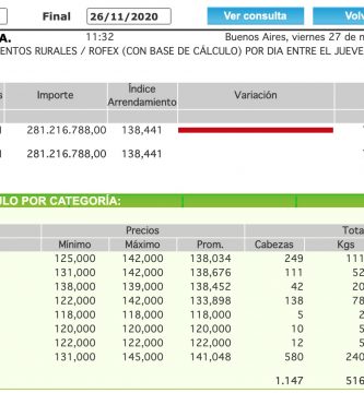 precio del novillo record remate especial