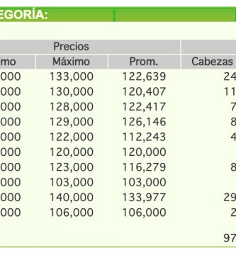 precio novillo arrendamiento por categoría 25 nov 2020