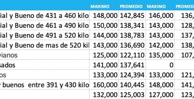 indice novillo arrendamiento diciembre 2020