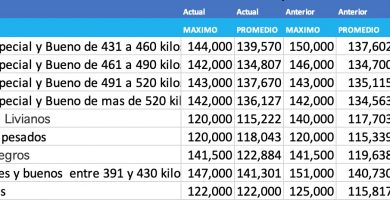 indice novillo arrendamiento mercado de liniers 2 diciembre 2020