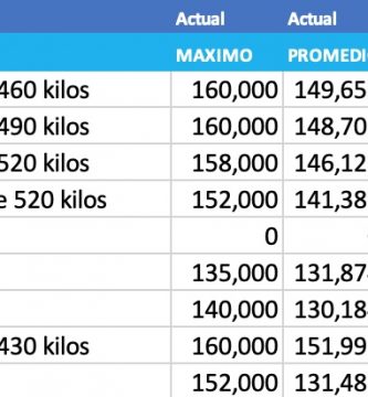 indice novillo cierre diciembre 2020