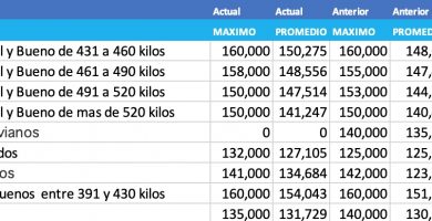 precio novillo arrendamiento diciembre 2020