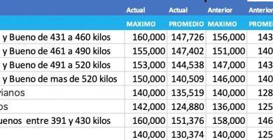 precio novillo arrendamiento diciembre 2020