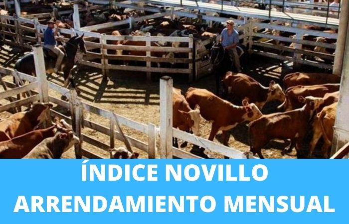 INDICE NOVILLO ARRENDAMIENTO MENSUAL SUGERIDO PARA ARRENDAMIENTO RURAL