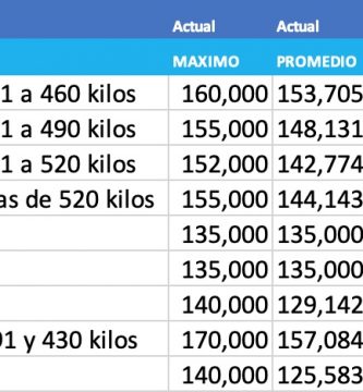 indice novillo arrendamiento enero 2021