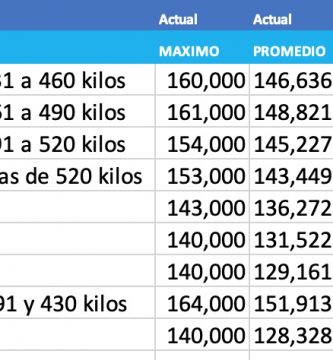 mercado de liniers precios novillo arrendamiento enero 2021