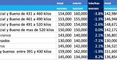 precio novillo arrendamiento enero 2021