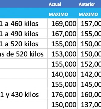 precios novillo arrendamiento mercado liniers cierre enero 2021