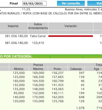 indice novilloa arrendamiento primera semana enero 2021