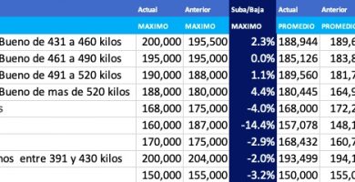indice novillo arrendamiento abril 2021 suba de precio