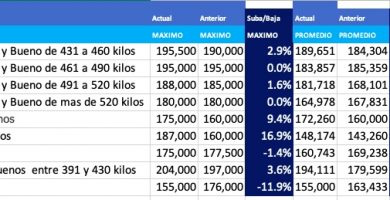 precios novillo arrendamiento abril 2020