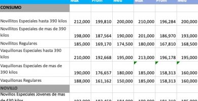 novillo de arrendamiento mayo 2021