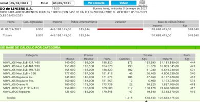 precio novillo de arrendamiento mercado de liniers mayo 2021