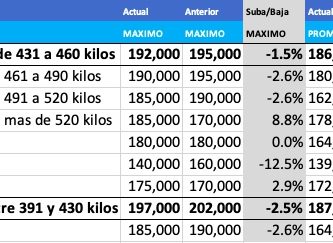 precios novillo de arrendamiento mayo 2021
