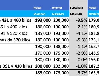 precios novillo arrendamiento junio 2021