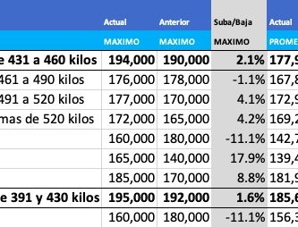 valor del novillo arrendamiento julio 2021