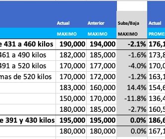 variacion precio novillo arrendamiento julio 2021