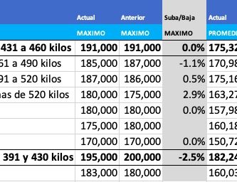 precios novillo arrendamiento semanal agosto 2021