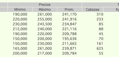 precios novillo arrendamiento dic 21