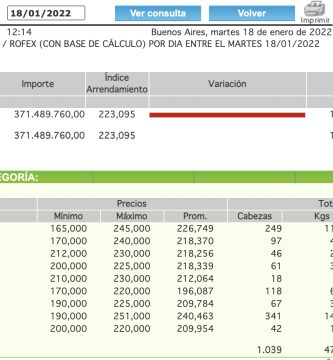 precio novillo arrendamiento enero 2022