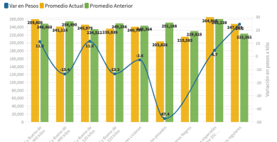 precio novillo de arrendamiento febrero 22