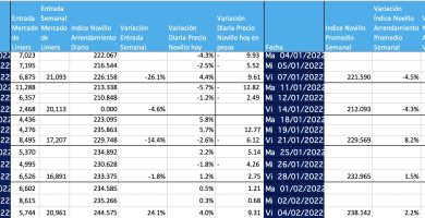 indice novillo para arrendamiento feb 22