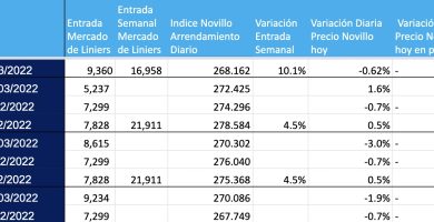 indice novillo arrendamiento marzo 2022