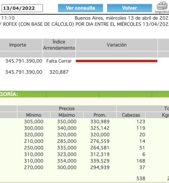 mercado de canuelas mag indice novillo