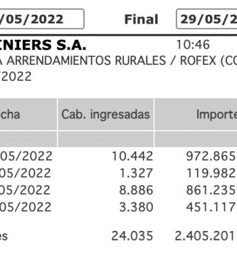 previo novillo mayo 2022
