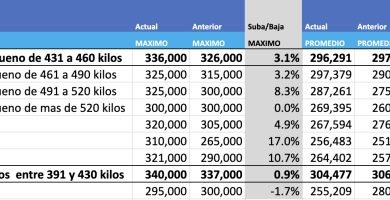 precio novillo arrendamiento mercado agroganadero de cañuelas