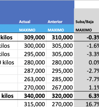 indice arrendamiento julio 2022