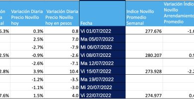 indice novillo arrendamiento mag cañuelas julio 2022