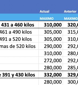 precio de novillo arrendamiento julio 2022