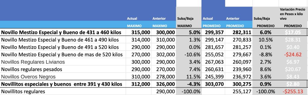 precios hacienda novillos mag cañuelas hoy