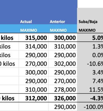 precios hacienda novillos mag cañuelas hoy