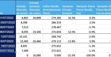 precios hoy mag canuelas
