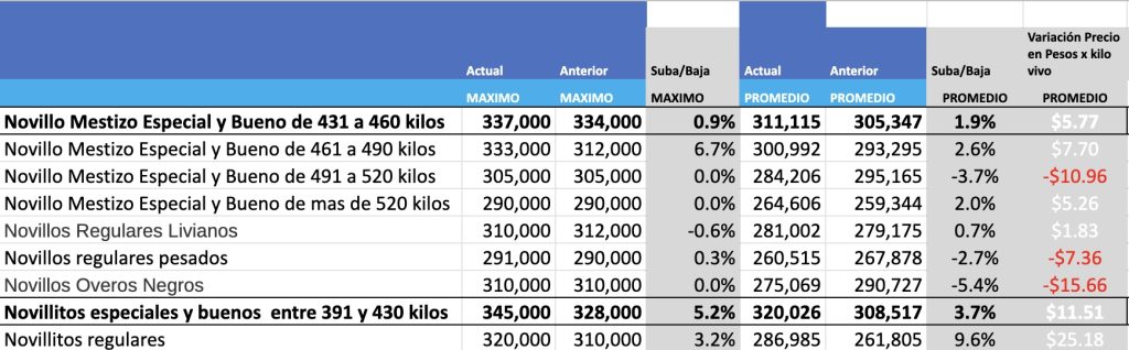 mercado agronadero cañuelas mag precios hoy novillo arrendamiento