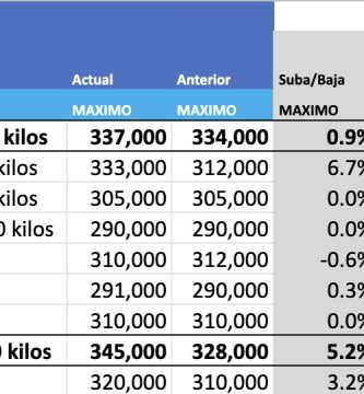 mercado agronadero cañuelas mag precios hoy novillo arrendamiento