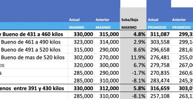 precios novillo arrendamiento hoy mag cañuelas
