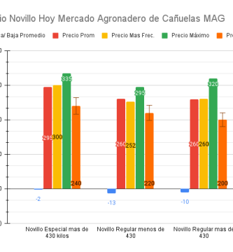 precio novillo septiembre 2022