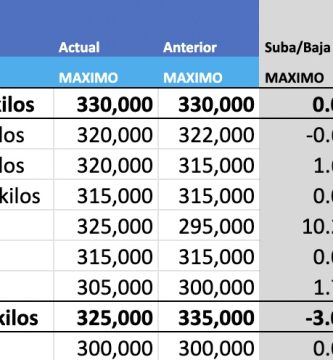 precios novillo arrendamiento mercado agroganadero cañuelas mag
