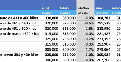 precios novillo arrendamiento mercado agroganadero cañuelas mag