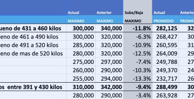 indice novillo arrendamiento mag cañuelas