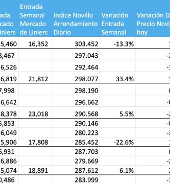 precio novillo octubre 2022
