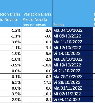 mag precio novillo